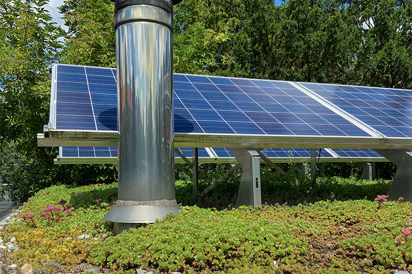 Nahaufnahme von Solarmodulen auf einem Gründach