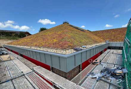 In Bliesdorf entsteht ein modernes Kaufhaus mit besonderem Dachkonzept: Auf 3.750 m² wurde eine extensive Dachbegrünung mit einer steilen Dachneigung von 25° realisiert.